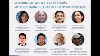 Serie de webinars #DiálogosONUBolivia - Sesión 7