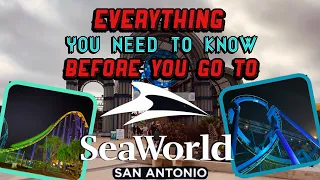 Everything You Need To Know Before You Visit Seaworld San Antonio