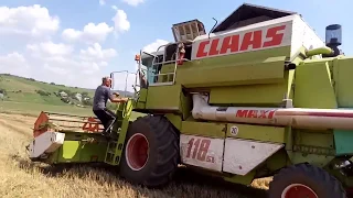 Комбайн Claas Dominator. уборка урожая пшеницы 2018 /Moldova