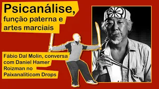 Psicanálise, função paterna e artes marciais