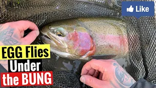 Egg Flies under the Bung  |  Winter Fly Fishing methods for Rainbow Trout at Laois Angling Centre