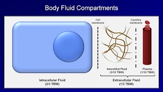 IV Fluids: Lesson 1 - Basic Principles