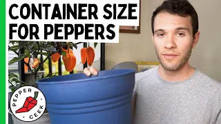 Container Size for Pepper Plants - Ideal Pot Size - Pepper Geek