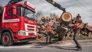 Met een Scania R530 XT en kettingzaag in de weer om bomen te rooien! 😎