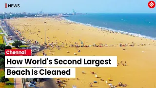 How World's Second Largest Beach Is Cleaned | Marina Beach Chennai