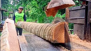 Coconut & trembesi wood saws - assembled serkel machines