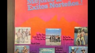 LOS MEJORES 15 EXITOS NORTEÑOS 1989 DISCO COMPLETO1