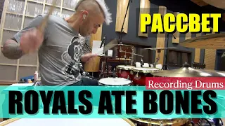 Royals Ate Bones / Рассвет / Recording Drums