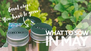 What To Sow in May | Grow Your Own Food | What to Sow in Spring