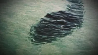 5 Mysterious Sea Creatures Caught on Camera & Spotted In Real Life!