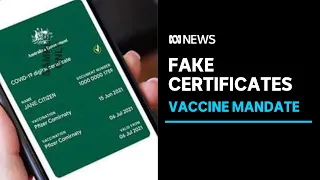 Anti-mandate groups spreading fake vaccine certificates to help others break COVID rules | ABC News