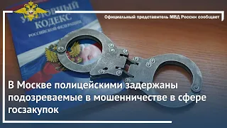 Ирина Волк: В Москве полицейскими задержаны подозреваемые в мошенничестве в сфере госзакупок