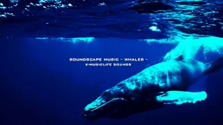 soundscape music - whales - THE MOST RELAXING MUSIC -