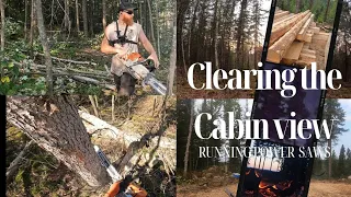 OFF GRID CABIN | Running Chainsaw clearing cabin view  #cabin