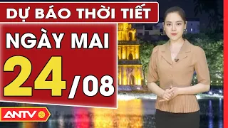 Dự báo thời tiết ngày mai 24/8: Hà Nội mưa về chiều tối và đêm, TP. HCM ngày nắng, chiều mưa | ANTV