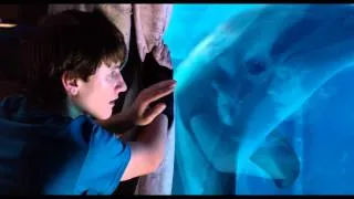 Dolphin Tale 2 - Official Trailer