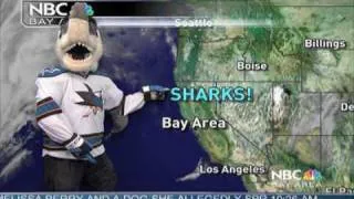 San Jose Sharks Sharkie gives the weather forecast