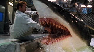 Top 10 Shark Movies