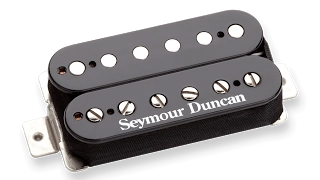 Do It Yourself - How To Change Guitar Pickups (Courtesy of Seymour Duncan)