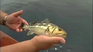 Fishing aboard the Gail Force