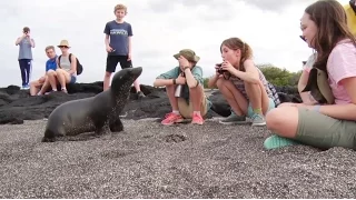 National Geographic Global Explorers Program in Galápagos