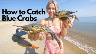 World Famous Blue Crab Catch and Cook - Chesapeake Bay Crab (How To)