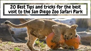 TIPS & TRICKS: The San Diego Zoo Safari Park