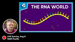 🔴 The RNA World Hypothesis: What we do and do not know