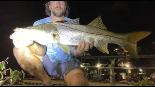 Winter Bridge Snook Hunting With NLBN Paddle Tails