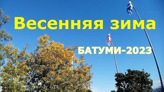 Зимняя весна. Батуми 3 02 23