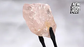 Largest pink diamond found in 300 years discovered in Angola | New York Post