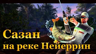 💙💛 Fishing Planet. Сазан на реке Нейеррин 💛💙