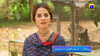 Qalandar Episode 17 Promo | Tonight at 8:00 PM On Har Pal Geo