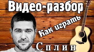 Как играть Сплин - Мое сердце / Урок на гитаре для начинающих /  Без БАРРЭ разбор Сплин