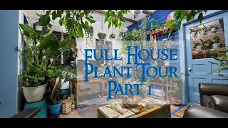 Winter Houseplant Tour - Part 1