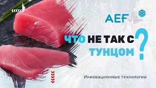 Что не так с тунцом?