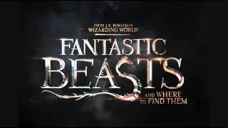 Fantastic Beasts and Where to Find Them (Hedwig's Theme Extended Unofficial)