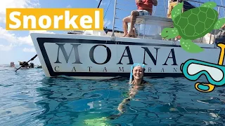 Snorkel TURTLE CANYON with Moana Catamaran | OAHU