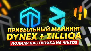 Прибыльный майнинг на видеокартах Dynex + Zilliqa. Полная настройка майнинга DNX + ZIL на HiveOS