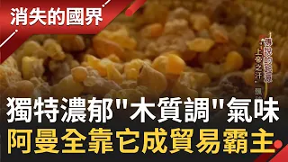 被視為神聖之物! 擁有"上帝之汗"稱謂的乳香 具有"木質調"的濃郁氣味 獨特的味道雖不是人見人愛 卻讓阿曼成為交易霸主│李文儀 主持│【消失的國界 完整版】20230128│三立新聞台