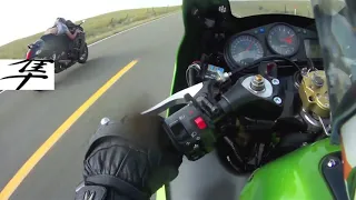 ZX12R VS HAYABUSA  !!! KAWASAKI POWER !!!