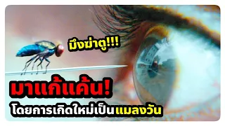 เกิดใหม่ทั้งทีก็กลายเป็นแมลงวันไปซะแล้ว (สปอยหนัง) EEGA