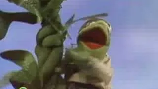 Sesame Street: Jack & The Beanstalk | Kermit News