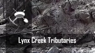 Lynx Creek Tributaries in Arizona