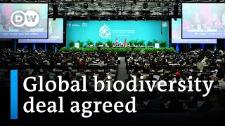 UN conference reaches historic biodiversity deal | DW News