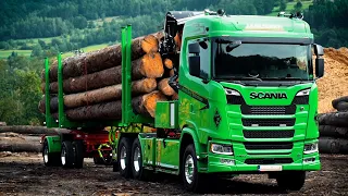 Januszki& Mathias Burger Holztransporte  Scania v8 770