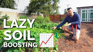 Cover Cropping: The LAZIEST Way to Improve Your Soil