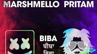 Marshmello & Pritam-Biba Feat.Shirley Setia & Shah Rukh Khan(Lyircs Video)