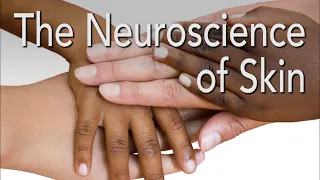 The Neuroscience of Skin | Dr. Claudia Aguirre, Neuroscientist