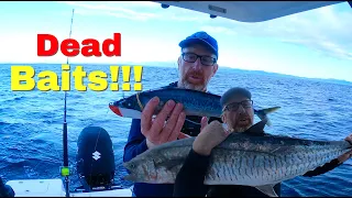 It's Dead Bait Time!!! Trolling Rigged Dead Baits To Catch Fish (Spanish Mackerel/King Mackerel)!!!